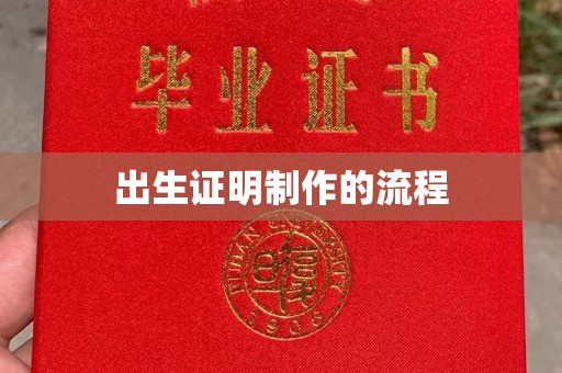 月湖出生证明制作的流程