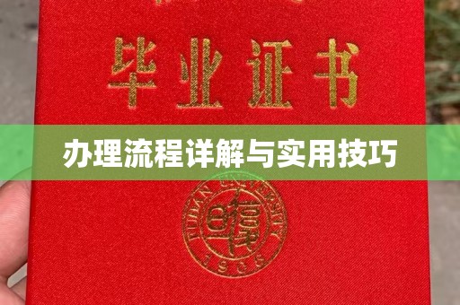 月湖办理流程详解与实用技巧