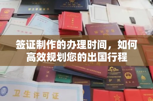 月湖签证制作的办理时间，如何高效规划您的出国行程