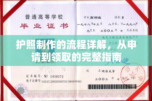 月湖护照制作的流程详解，从申请到领取的完整指南