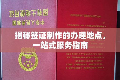 月湖揭秘签证制作的办理地点，一站式服务指南