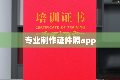 月湖专业制作证件照app