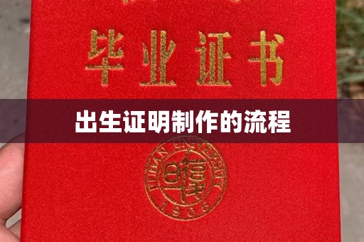 月湖出生证明制作的流程
