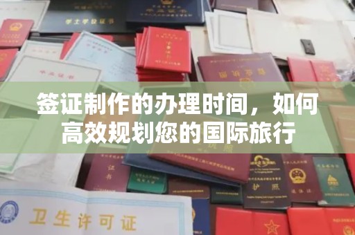 月湖签证制作的办理时间，如何高效规划您的国际旅行